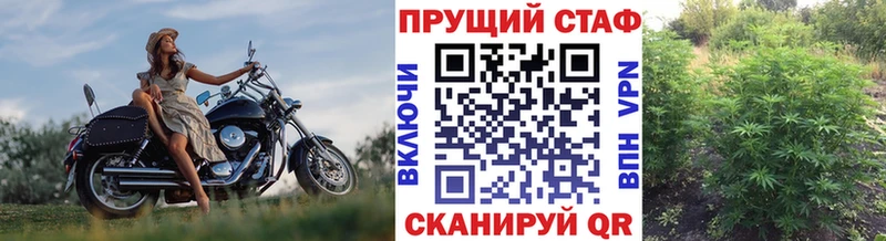 Как найти наркотики Гвардейск Псилоцибиновые грибы  АМФЕТАМИН  Марихуана  Меф  Alpha PVP 