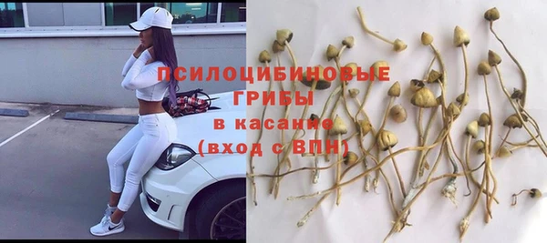 шишки Армянск