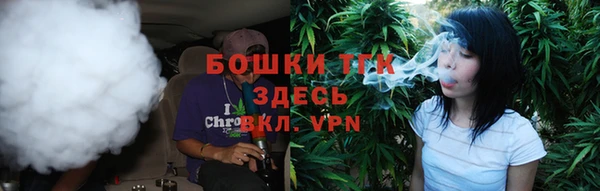 шишки Армянск