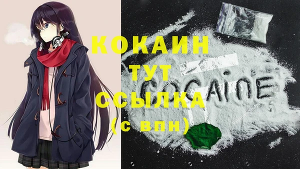 шишки Армянск