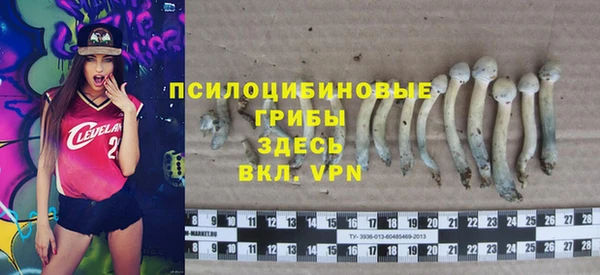 амф Баксан