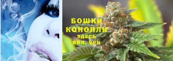шишки Армянск